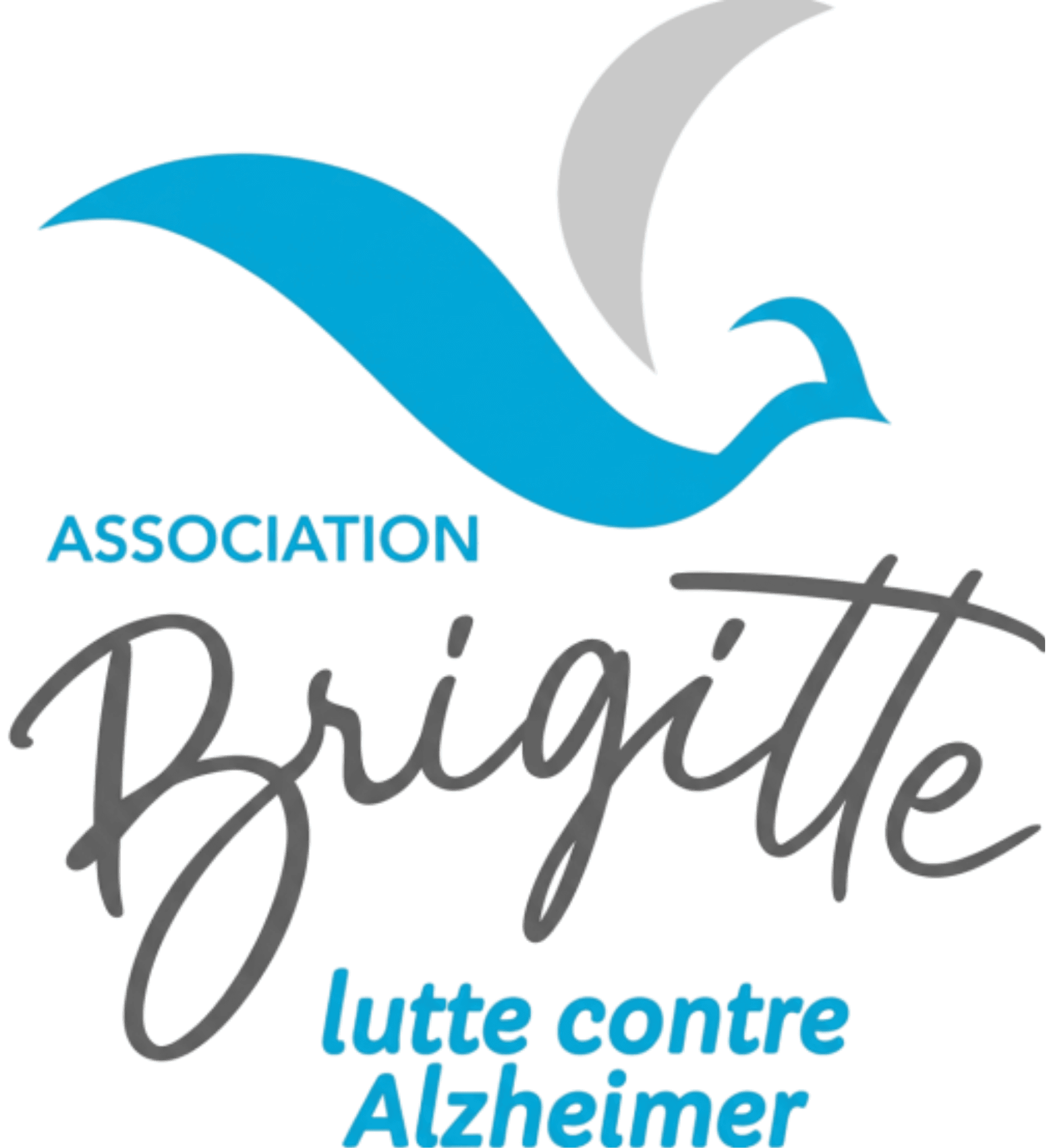 Association Brigitte